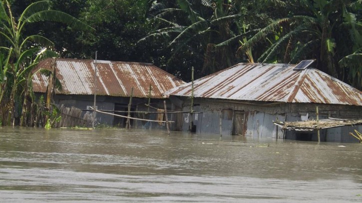 বন্যায় গাইবান্ধার মৎস্য চাষীদের ৫ কোটি টাকার মাছ ভেসে গেছে