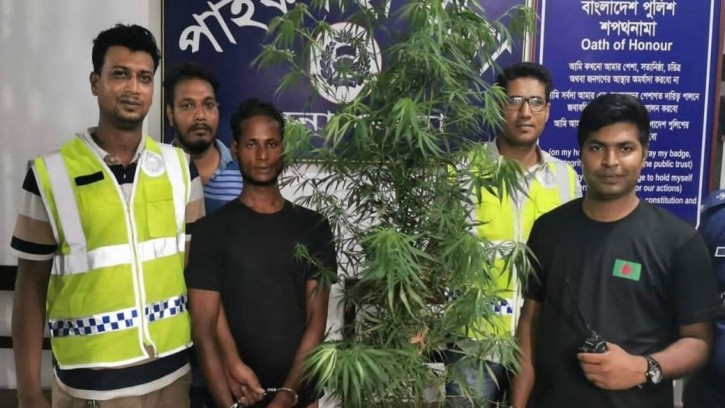 পাইকগাছায় ১১ আসামি গ্রেফতার করেছে পুলিশ