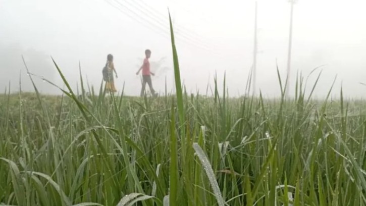 ভোরের কুয়াশা জানান দিচ্ছে পিরোজপুরে শীতের আমেজ