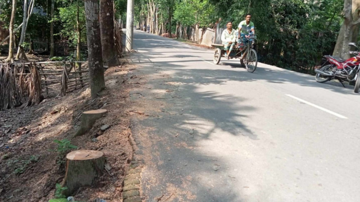 ইন্দুরকানীতে সরকারি গাছ কাটার  ব্যবস্থা নেয়নি বন বিভাগ 