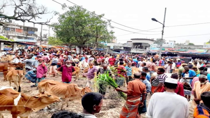 গোবিন্দগঞ্জে জমে উঠেছে কোরবানির পশুর হাট