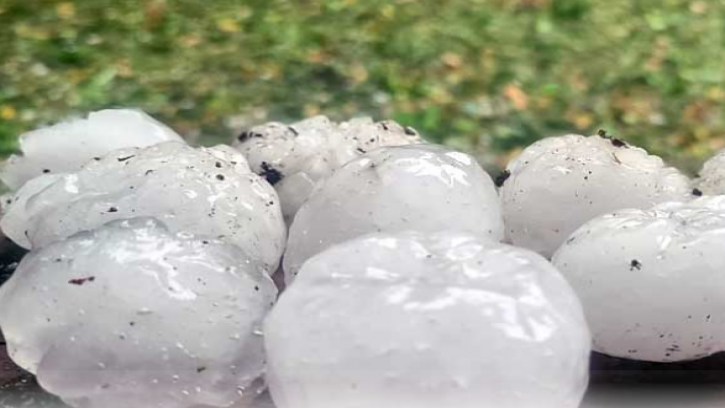 স্বস্তির বৃষ্টিতে শিলার ক্ষত, ফসলের ক্ষতি