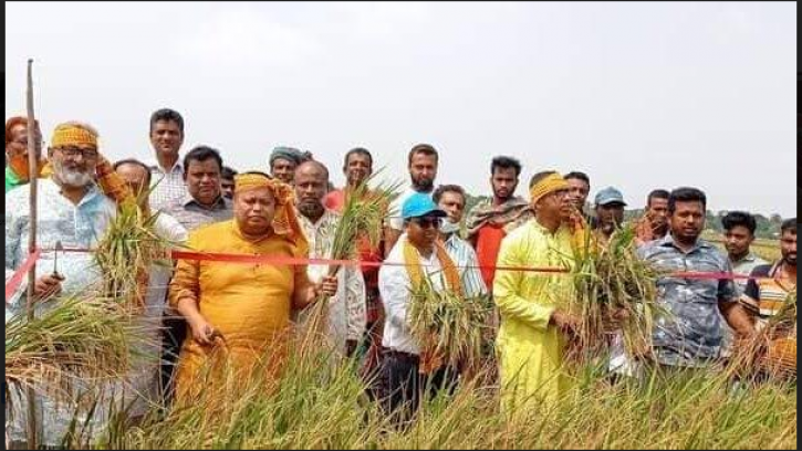 কৃষি প্রণোদনা কর্মসূচির শস্য কর্তন ও বøক প্রদর্শনীর উদ্বোধন