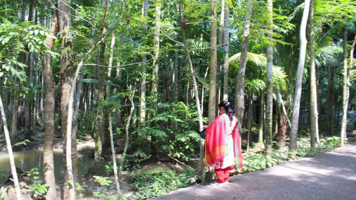 পৈত্রিক সম্পত্তি থেকে বোনকে বঞ্চিত করতে নির্যাতন