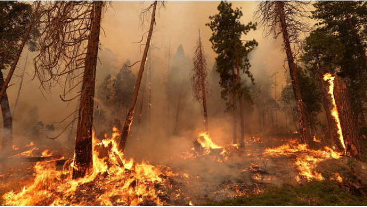 ক্যালিফোর্নিয়ায় দাবানল : হাজার হাজার লোককে সরিয়ে নেয়া হয়েছে