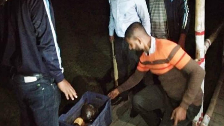 পাইকগাছায় ২১টি কচ্ছপসহ ব্যবসায়ী আটক, অর্থদন্ড