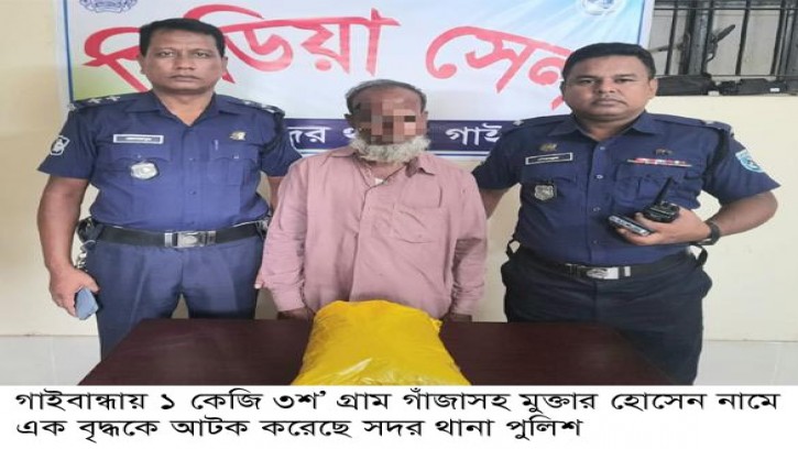 গাইবান্ধায় গাঁজাসহ বৃদ্ধ আটক