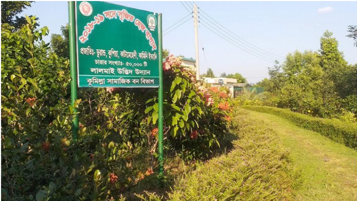  কুমিল্লার লালমাই পাহাড়ের চূড়ায় বিরল উদ্ভিদের সংরক্ষণাগার