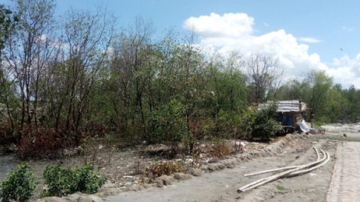 শিবসার শহররক্ষা বাঁধ ডুবে মরে যাচ্ছে গাছ, বাঁধ সরাতে নির্দেশ