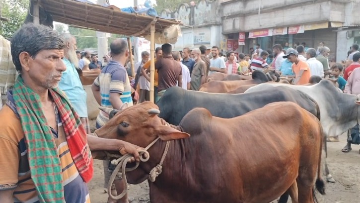 চাঁপাইনবাবগঞ্জে জমে উঠেছে কোরবানীর পশুর হাট, দামে হতাশ খামারীরা 