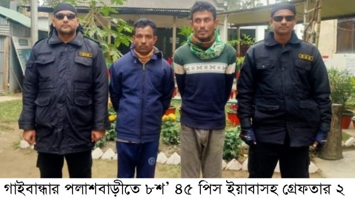 পলাশবাড়ীতে ৮শ’ ৪৫ পিস ইয়াবাসহ গ্রেফতার ২