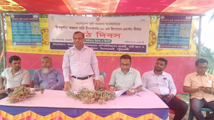 আমতলীতে চিনা বাদামচাষ সম্প্রসারণ বিষয়ক মাঠ দিবস অনুষ্ঠিত