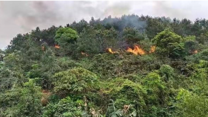 ১৩২ জন যাত্রী নিয়ে চীনা যাত্রীবাহী বিমান বিধ্বস্ত