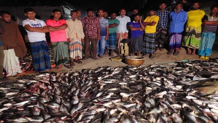 গোবিন্দগঞ্জে পুকুরে বিশ প্রয়োগ ৫ লাখ টাকার মাছ নিধন
