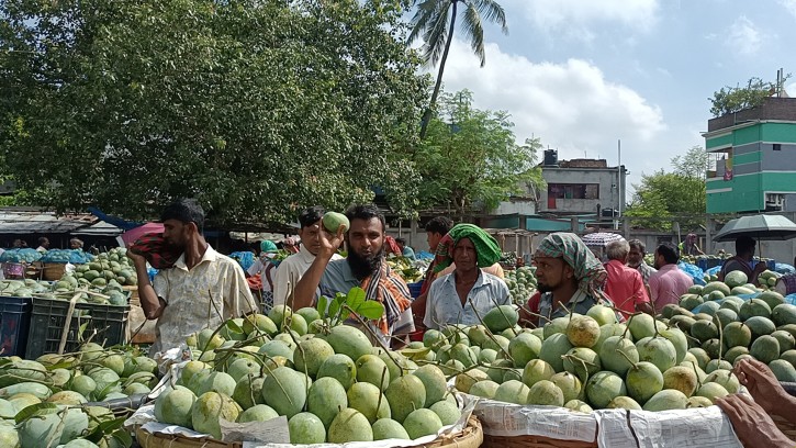 কারফিউ শিথিলে শিবগঞ্জের কানসাটে আবারো আমের বাজার চাঙ্গা