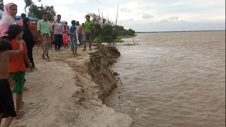 শিবগঞ্জে পদ্মার ভাঙনে বিলীন ২ শতাধিক বাড়িঘর-ফসলি জমি ও স্থাপনা
