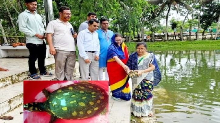 পিরোজপুরে বিরল প্রজাতির কচ্ছপ অবমুক্ত করলেন জেলা পরিষদ চেয়ারম্যান