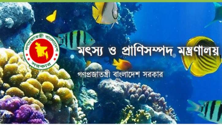 কাপ্তাই হ্রদে মৎস্য আহরণ নিষিদ্ধকালে জেলেদের জন্য ৯৯৮ টন ভিজিএফ বরাদ্দ
