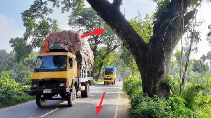 যশোর-বেনাপোল মহাসড়ক সম্প্রসারণে বাধা শতবর্ষী গাছ
