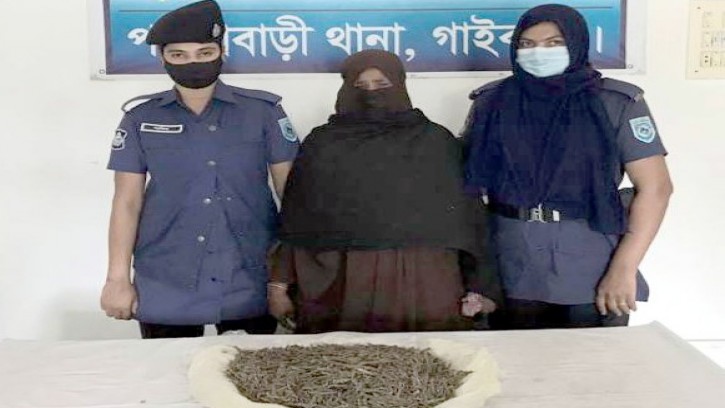 পলাশবাড়ীতে দুই কেজি গাঁজাসহ এক নারী আটক