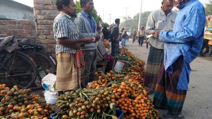 পাইকগাছায় জমে উঠেছে সুপারির হাট