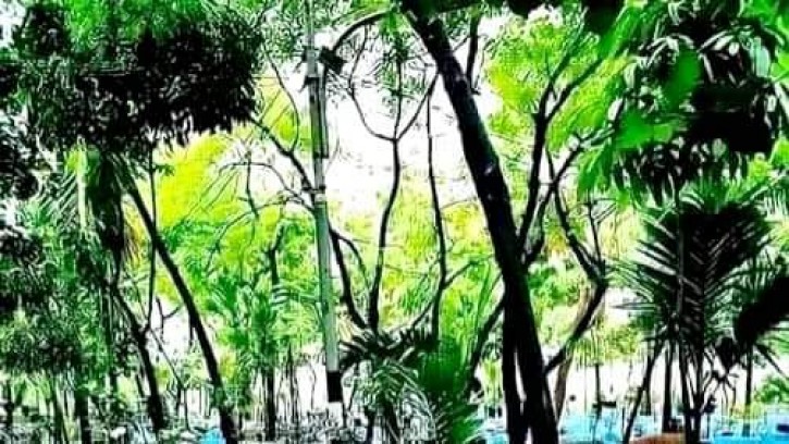 পিরোজপুরে ভাইয়ের  সম্পত্তি দখলের চেষ্টা